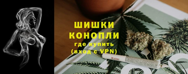 ПСИЛОЦИБИНОВЫЕ ГРИБЫ Абаза