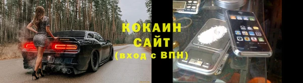 ПСИЛОЦИБИНОВЫЕ ГРИБЫ Абаза