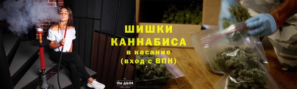 ПСИЛОЦИБИНОВЫЕ ГРИБЫ Абаза