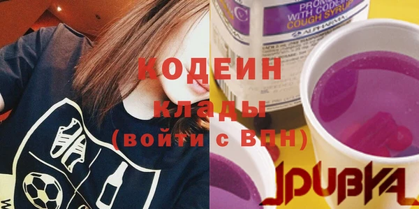 ПСИЛОЦИБИНОВЫЕ ГРИБЫ Абаза