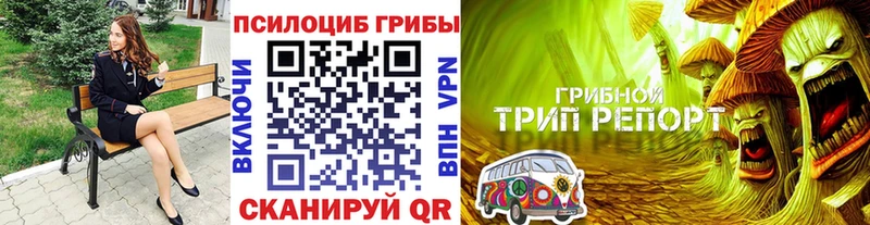 kraken ONION  Псков  Галлюциногенные грибы ЛСД  где продают  