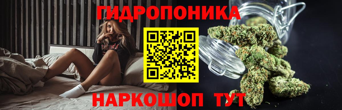 Бошки марихуана марихуана Псков